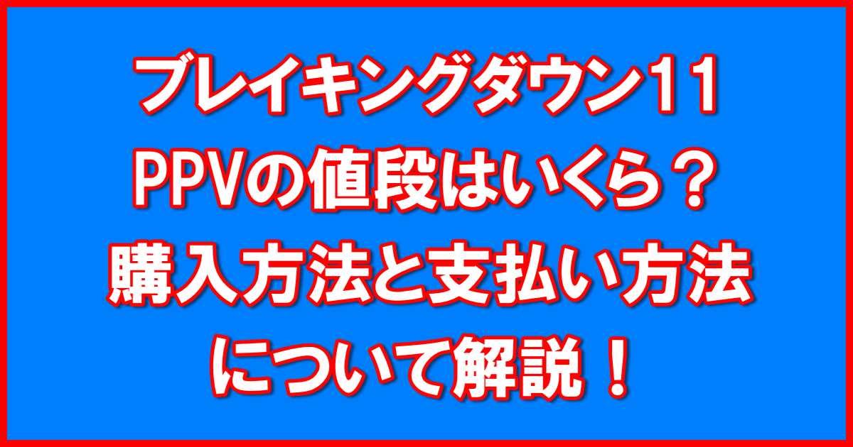 ブレイキングダウン11PPV値段