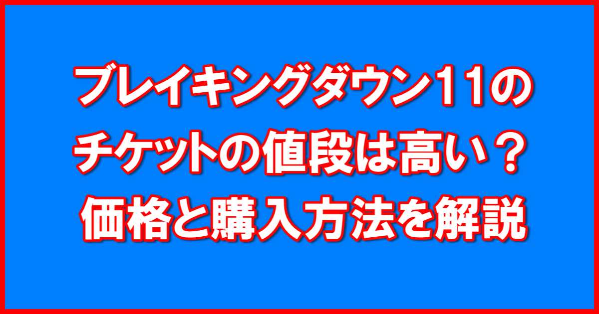 ブレイキングダウン11チケット値段高い