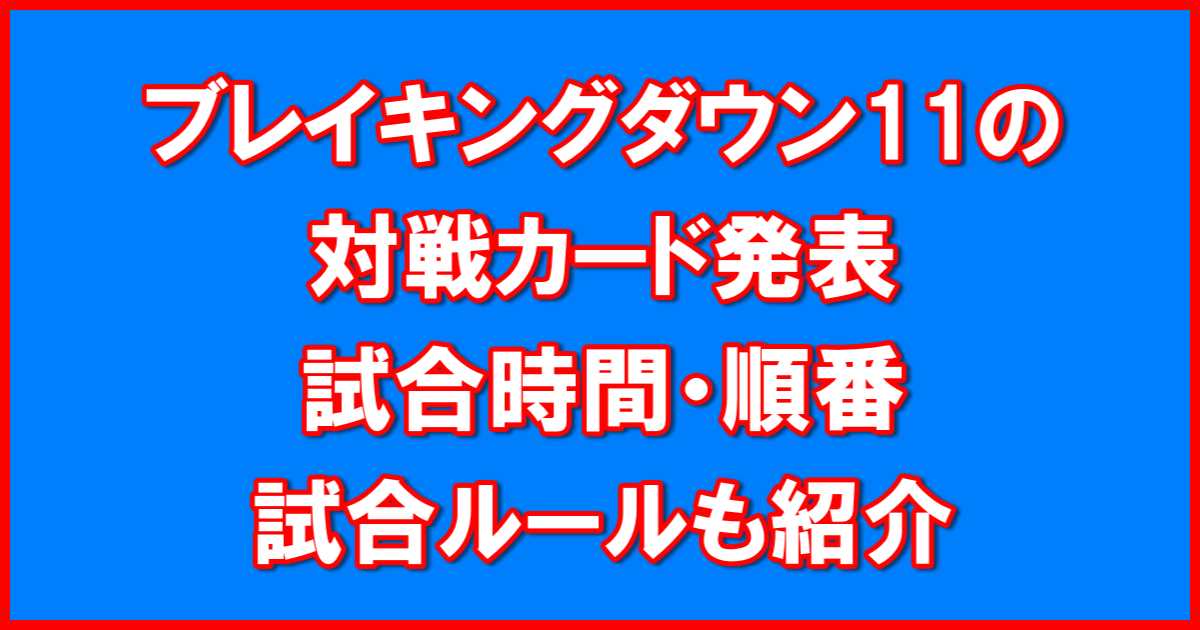 ブレイキングダウン11対戦カード