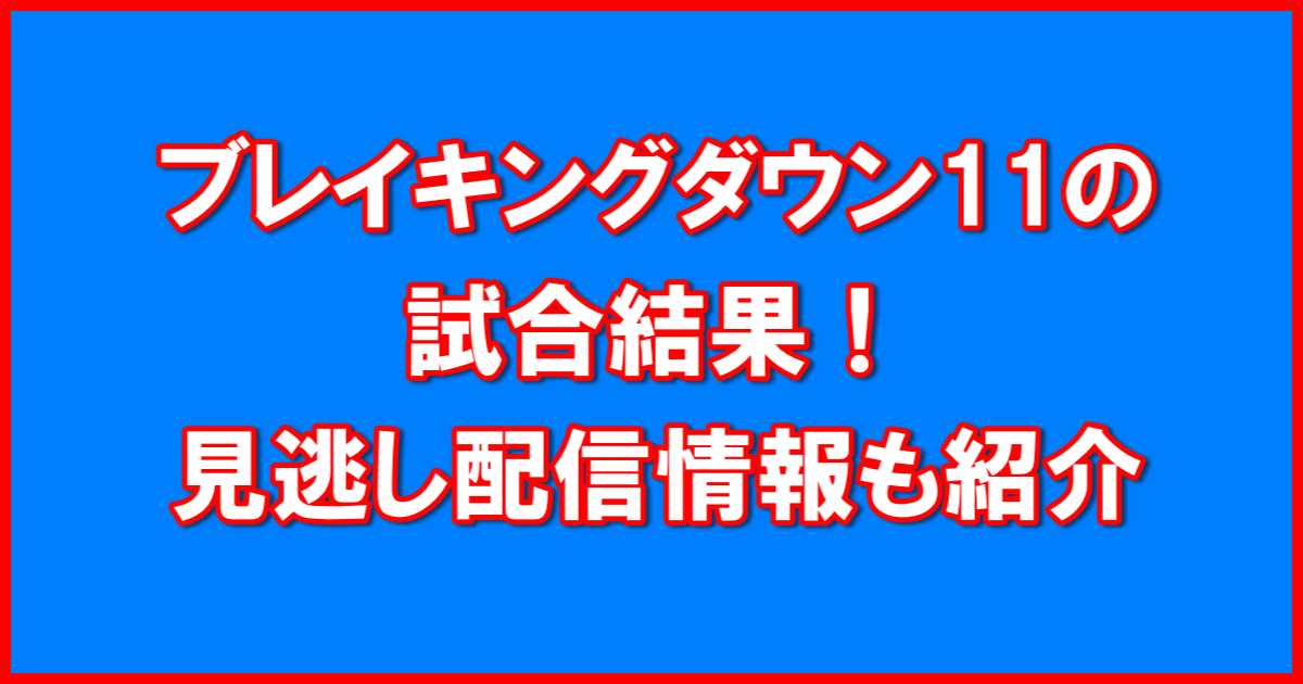 ブレイキングダウン11試合結果